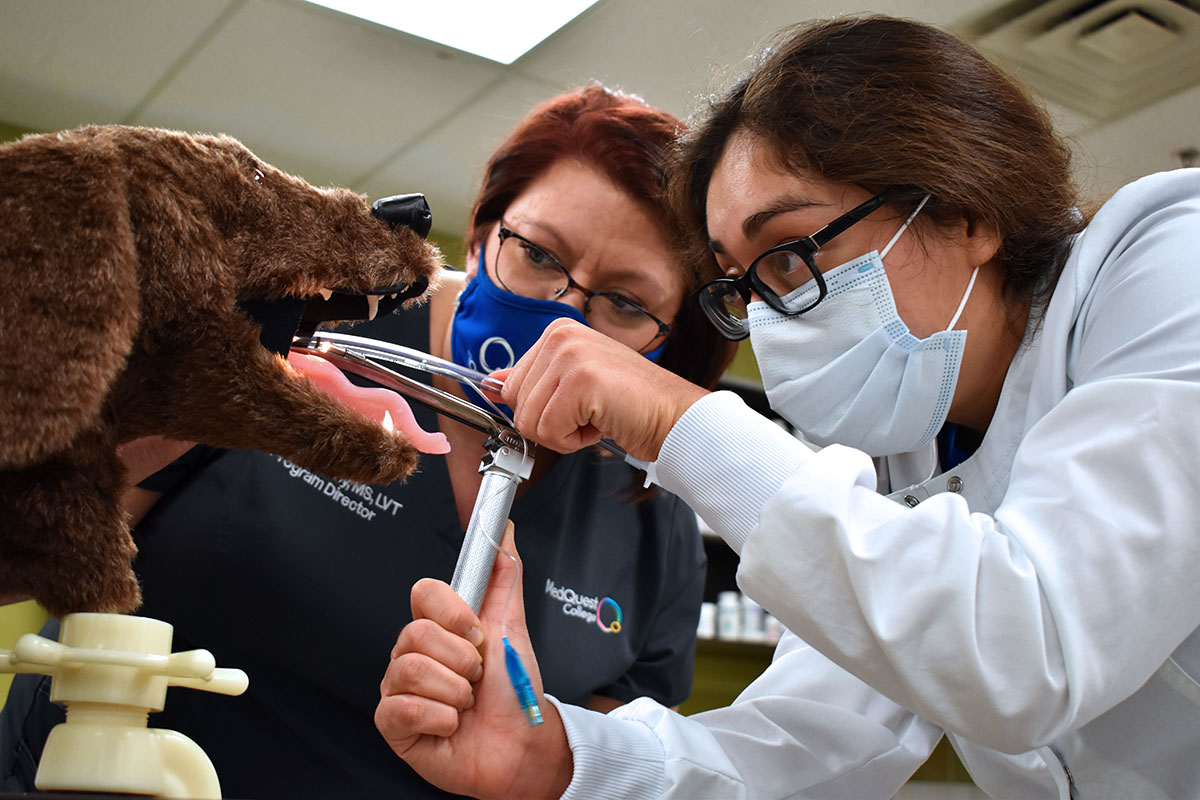 MedQuest Veterinary Technology student practicing skills on fake dog with instructor