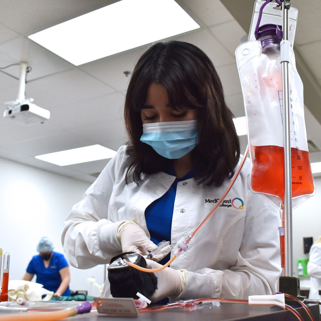 MedQuest Veterinary Technology student practicing blood draw on fake paw