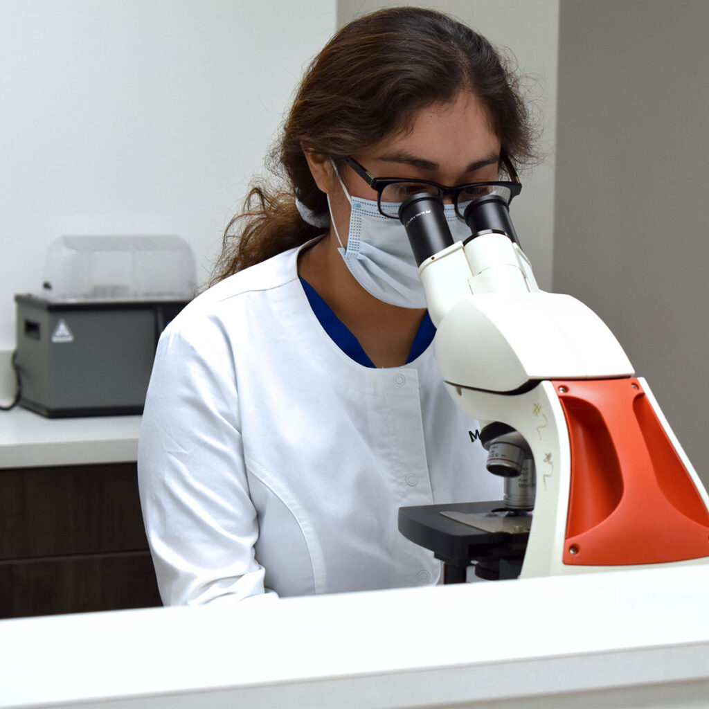 MedQuest Veterinary Technology student viewing specimen in microscope