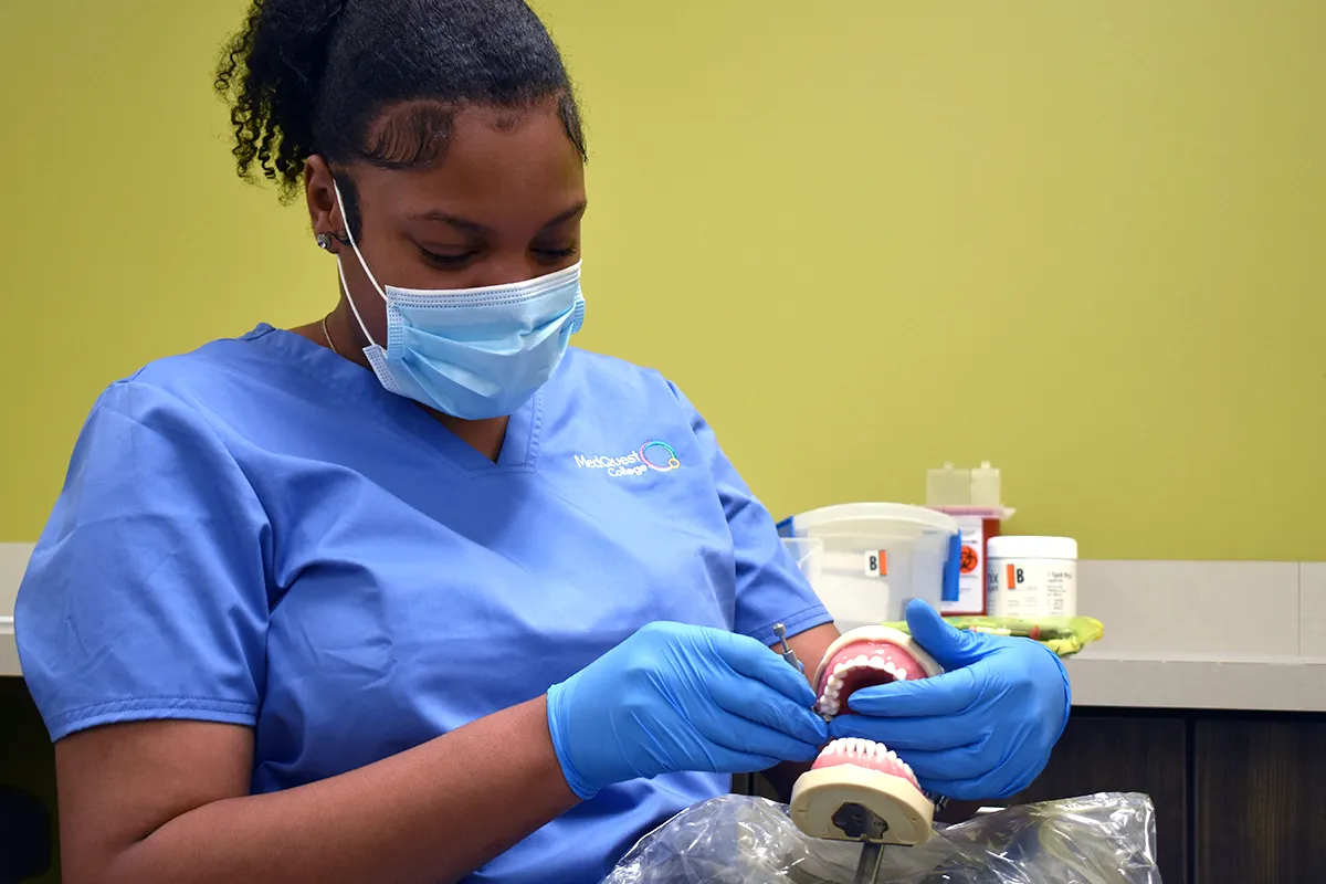 dental hygienist student working with tools