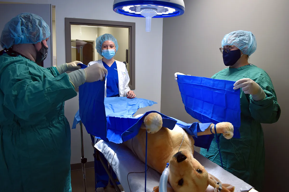 threeveterinary technician students getting ready in surgery room
